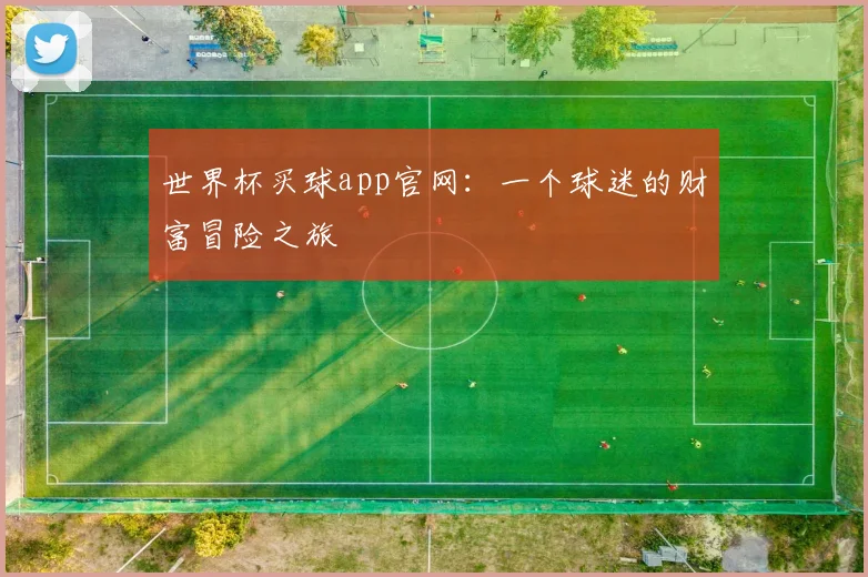 世界杯买球app官网：一个球迷的财富冒险之旅