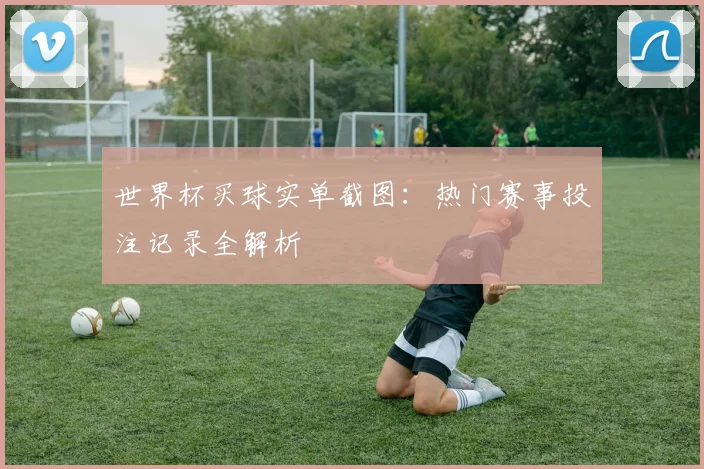 世界杯买球实单截图：热门赛事投注记录全解析