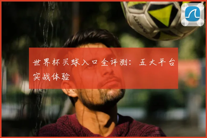 世界杯买球入口全评测：五大平台实战体验