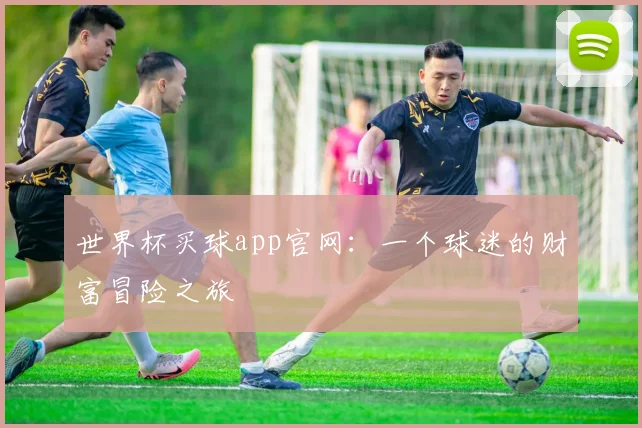 世界杯买球app官网：一个球迷的财富冒险之旅