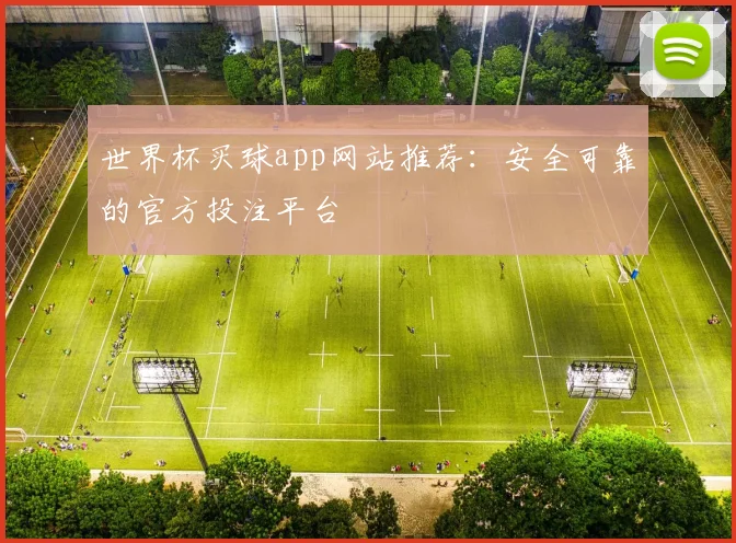 世界杯买球app网站推荐：安全可靠的官方投注平台