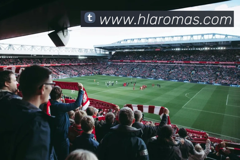 开云手机网页入口平台生态图